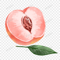 WWW,se658·COM网站APPAPP应用
