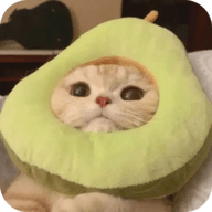 91破处视频APPAPP应用